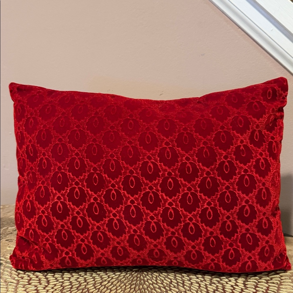 Red Velvet Patterned Pillow